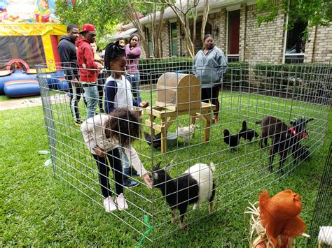 petting zoo for parties.